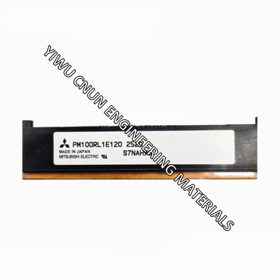 PM100RL1E120